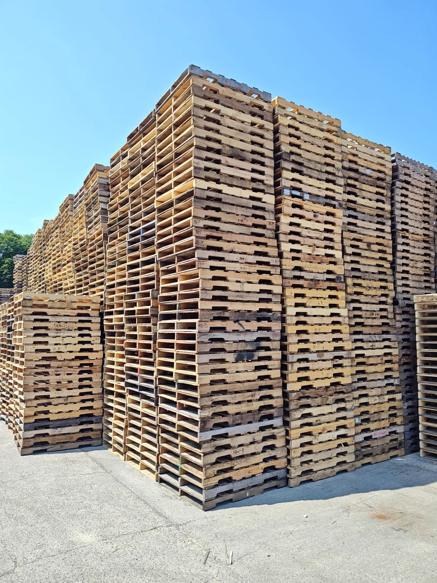 Used Pallets at Livengood Pallet Service in Frankfort, Indiana